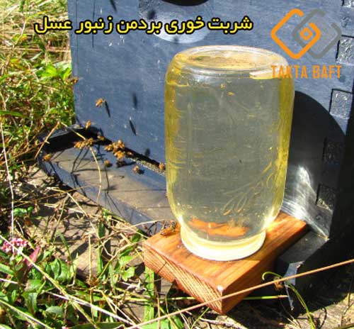 شربت خوری بردمن زنبور عسل